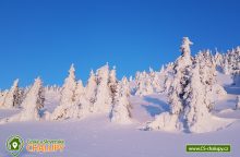 Horská roubenka Stříbrnice - Kralický Sněžník