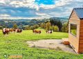 Jizerské domky - Neposeda - glamping Haratice