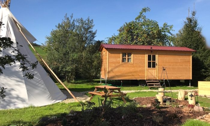 Glamping U Lesní víly - Bohousová - Potštejn